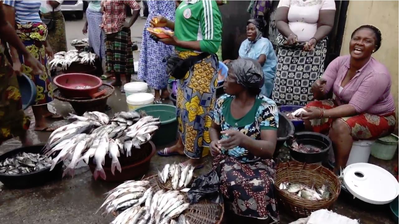 Women selling fish at an informal fish market