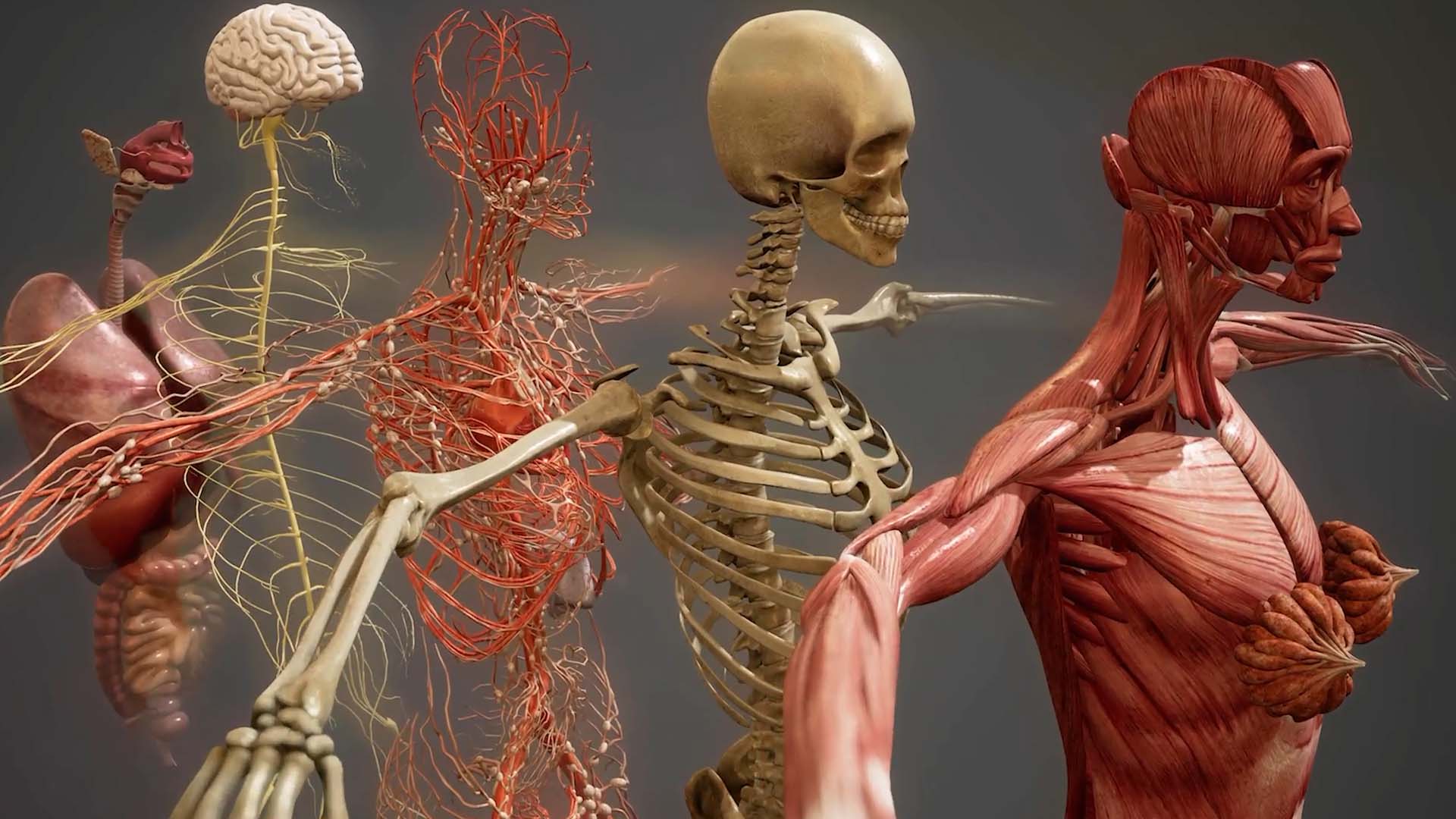 animated medical safety training
