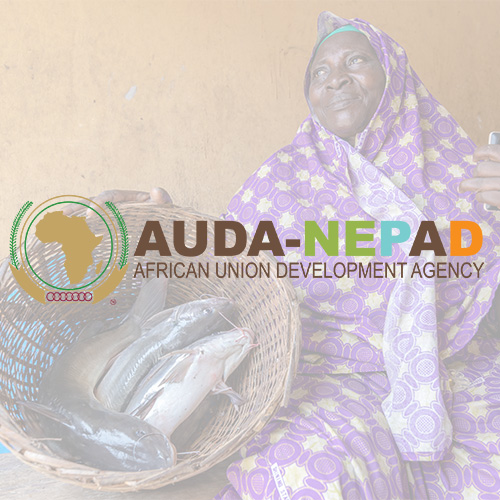 fisheries governance documentary in Africa