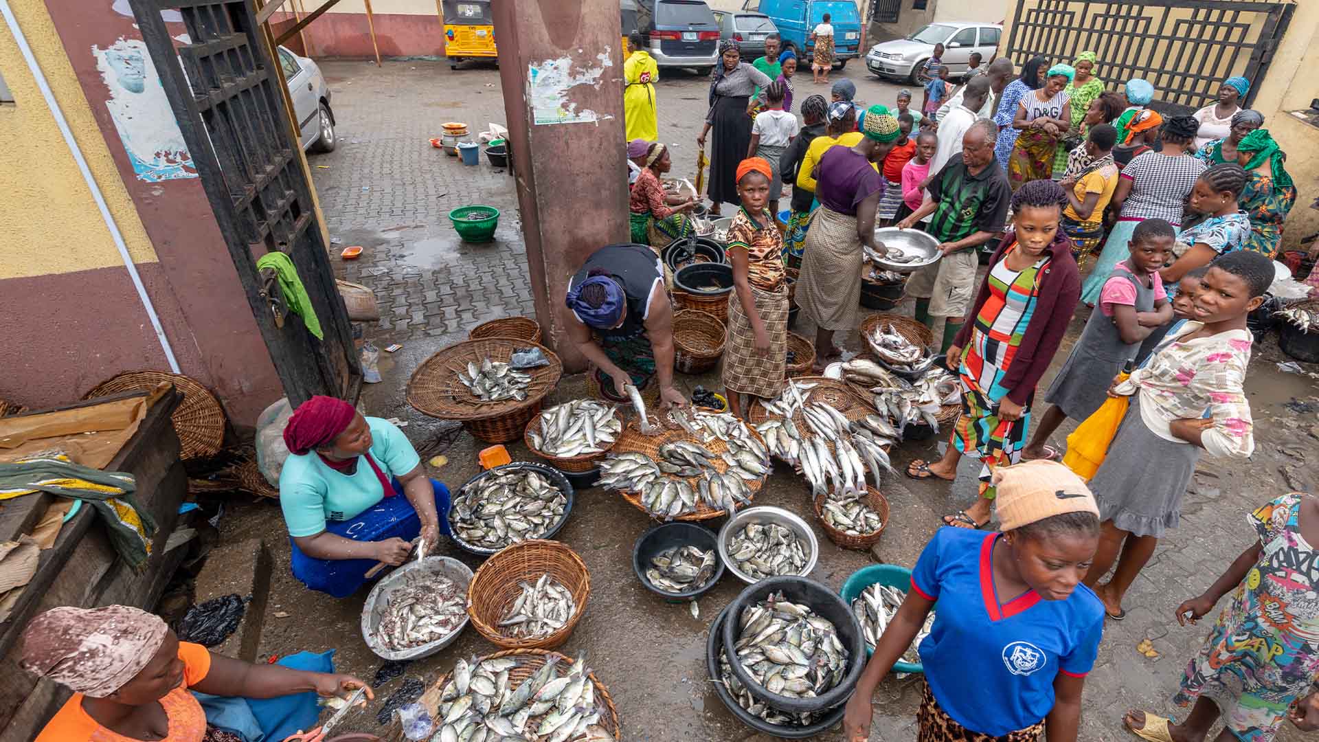 fisheries governance documentary in Africa